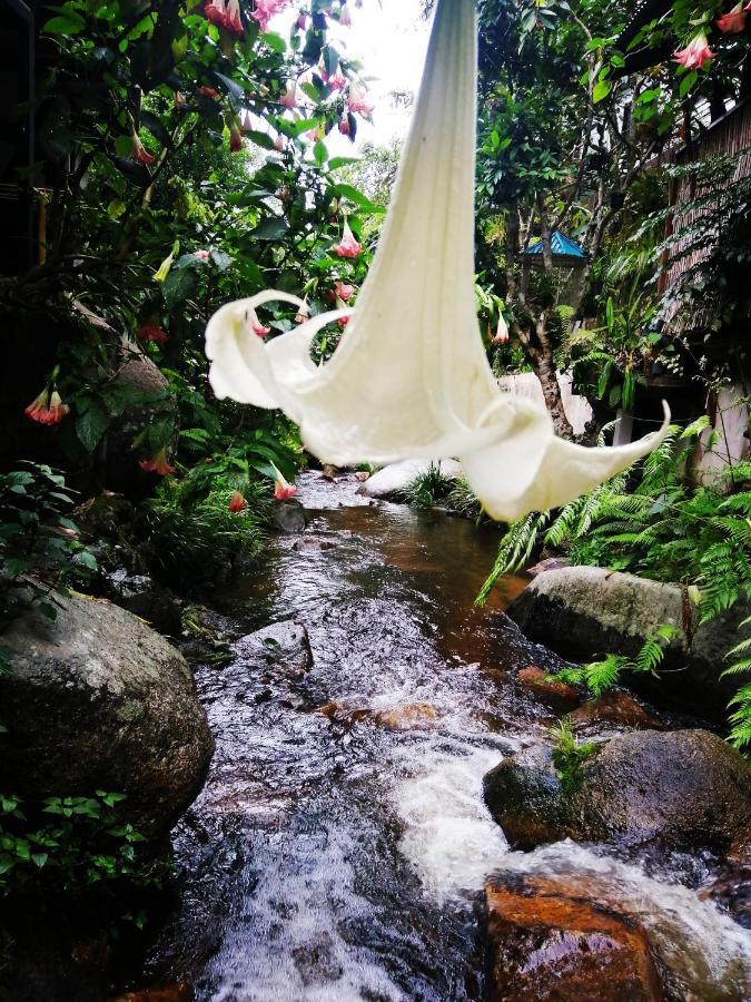 แม่อุ๊ยโฮมสเตย์&Mae Uai Homestay Ban Pok Nai Экстерьер фото